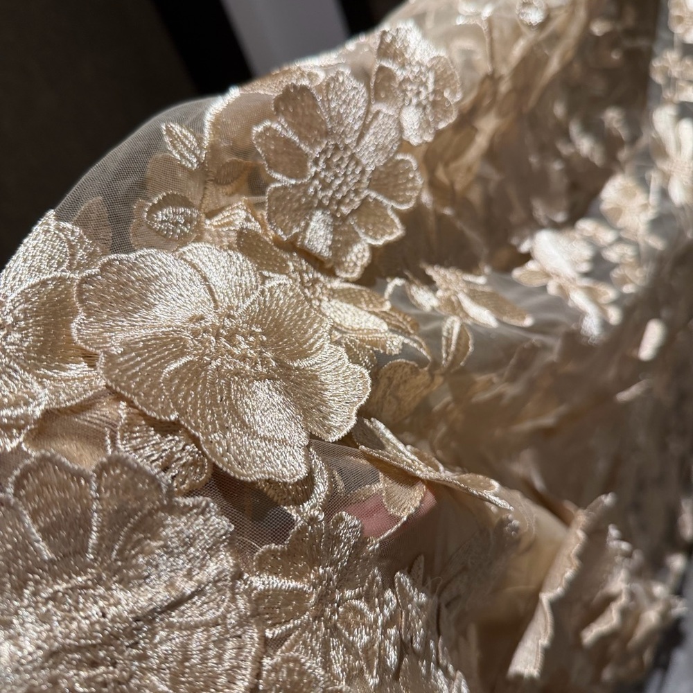 bronx and banco Strapless Beige Floral Lace Evening Dress - Picture 3 of 15